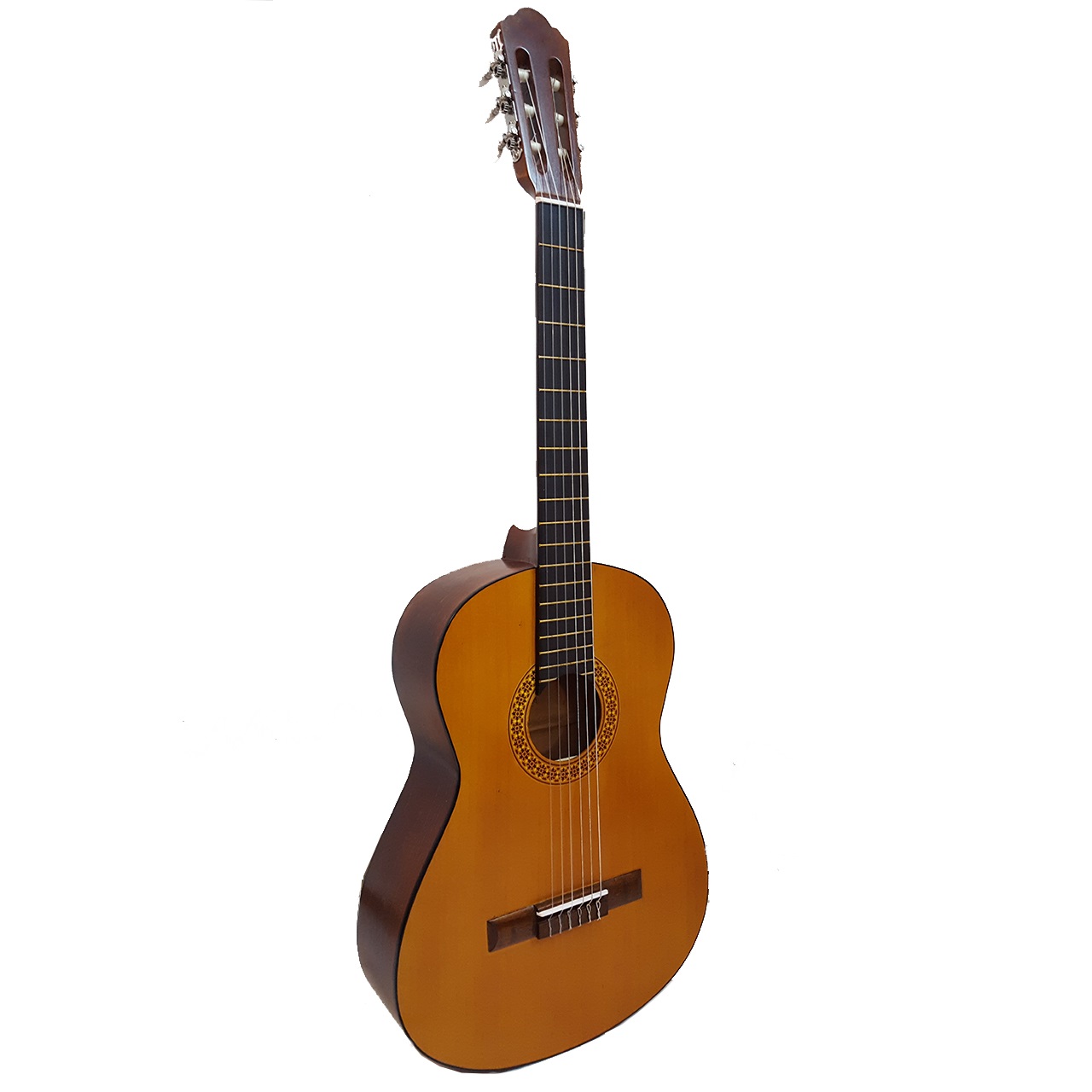 گیتار یاهاما مدل C70