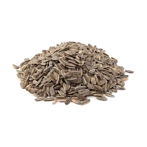 تخمه آفتابگردان دور سفيد شور Fresh وزن 500 گرم
