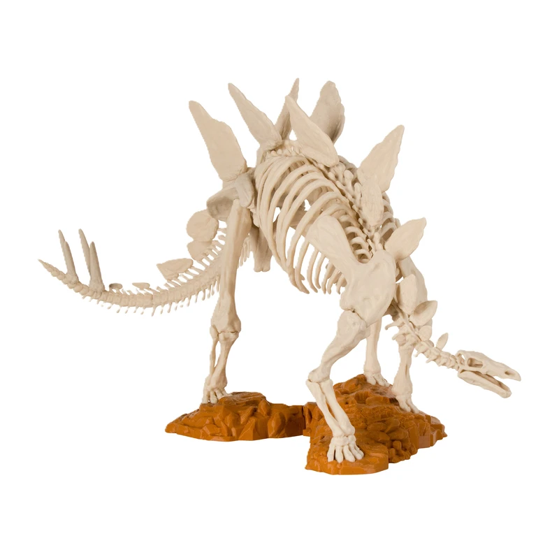 مجسمه مدل Stegosaurus Skeleton