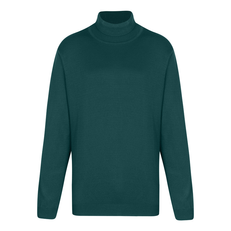 پلیور یقه اسکی مردانه ایزی دو مدل 2010004101706