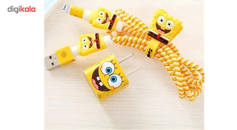 محافظ کابل و هندزفری مدل Spring