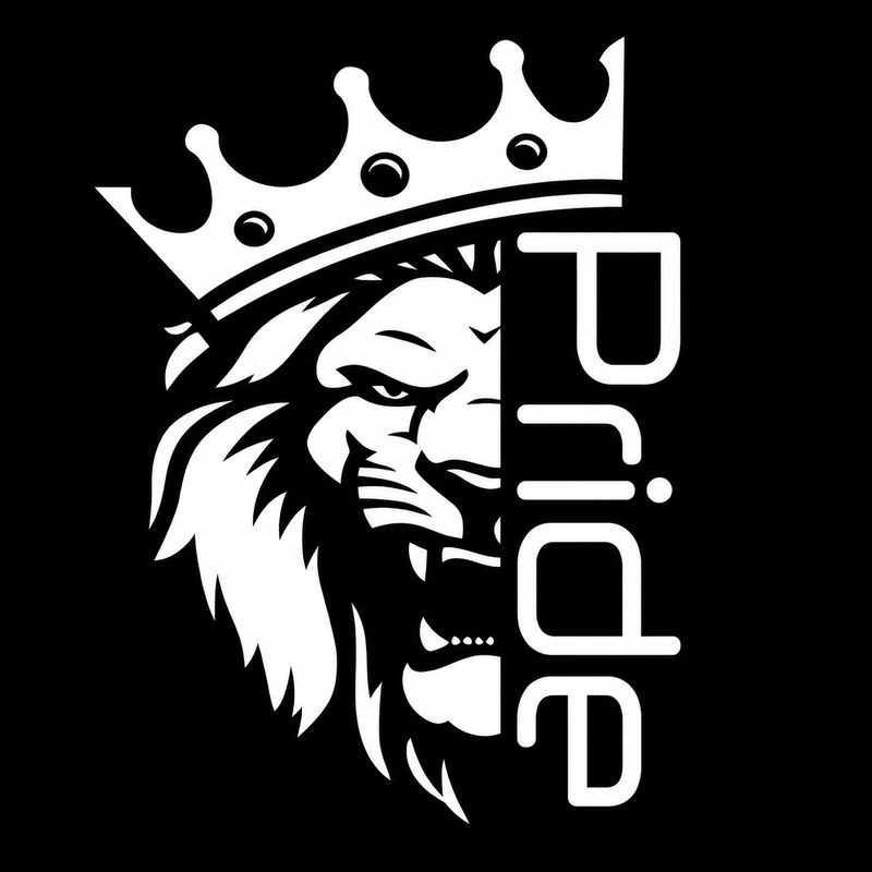 برچسب بدنه خودرو سولگی طرح Pride کد M173