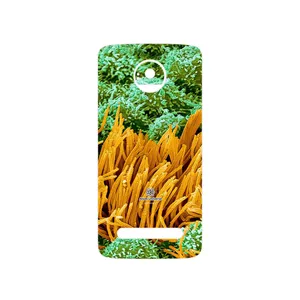 MAHOOT Atom Universe 6 Cover Sticker for Motorola Moto Z2 Play