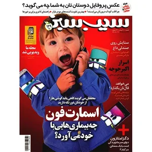 مجله سیب سبز - نیمه اول بهمن 1393