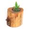 آنباکس گلدان چوبی فیل چوب مدل GCH_ch توسط Darya P در تاریخ ۲۰ مهر ۱۴۰۰