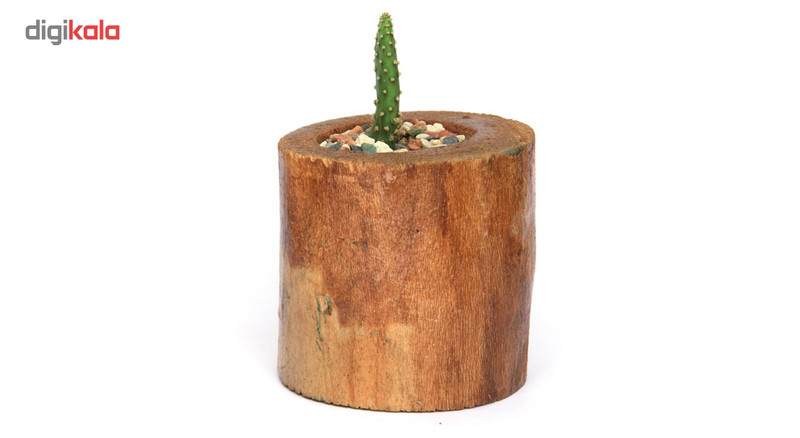 گلدان چوبی فیل چوب مدل GCH_ch