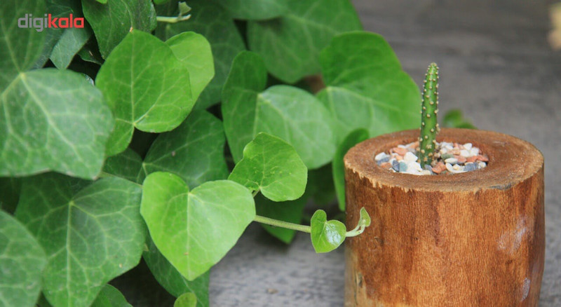 گلدان چوبی فیل چوب مدل GCH_ch