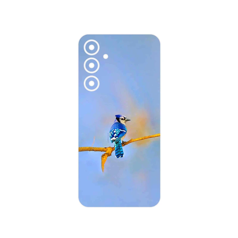 برچسب پوششی ماهوت مدل Cyanocitta cristata مناسب برای گوشی موبایل سامسونگ Galaxy S23 FE