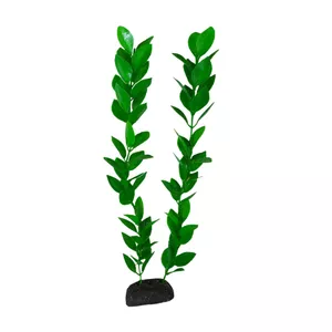 گیاه تزیینی آکواریوم مدل لودویجیا s30