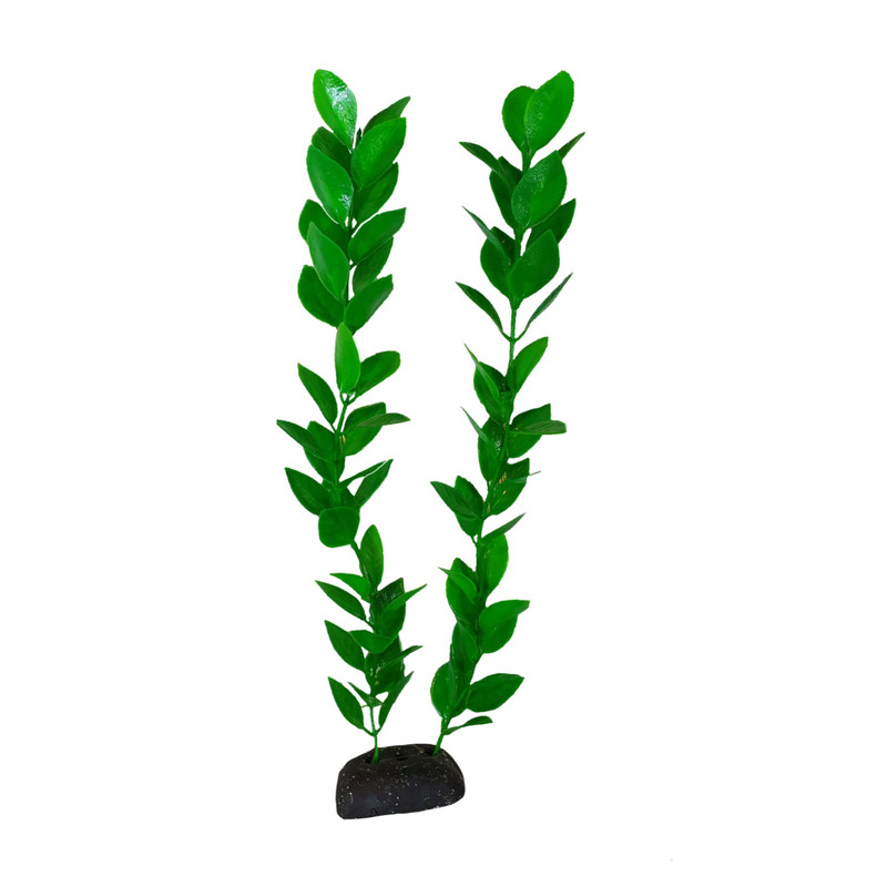 گیاه تزیینی آکواریوم مدل لودویجیا s30