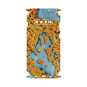 MAHOOT Atom Universe 7-FullSkin Cover Sticker for Samsung Galaxy S10 Plus