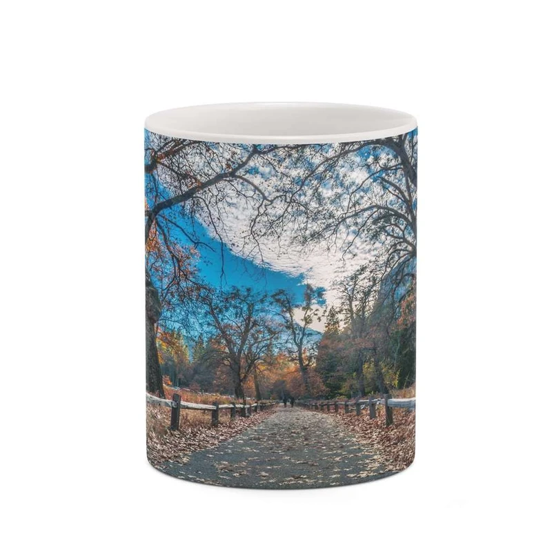 ماگ کاکتی مدل منظره کد mgh18245