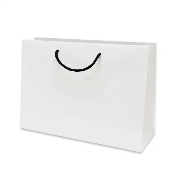 ساک دستی مدل 10329 بسته 12 عددی