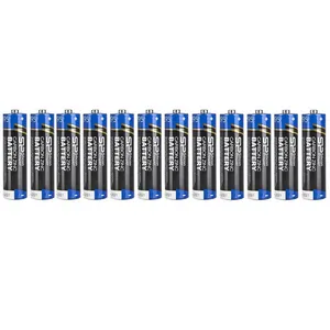 Silicon Power Carbon Zinc AA Battery Pack Of 12