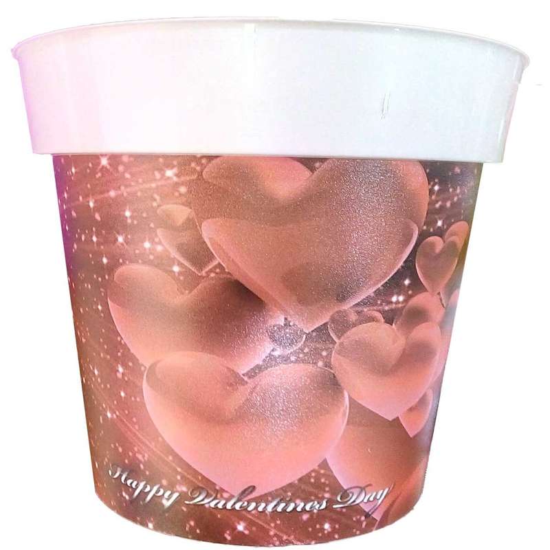 گلدان بناپک مدلValentine گلدان بناپک مدلValentine