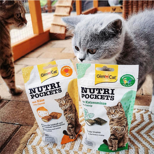 تشویقی گربه جیم کت مدل طعم پنیری وزن 60 گرم