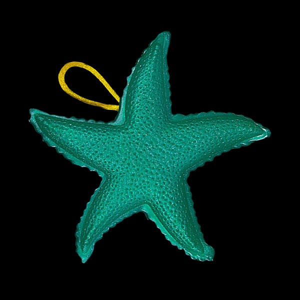 سنگ پا مدل پلاستیکی طرح ستاره دریایی
