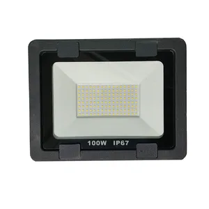پروژکتور 100 وات مدل اکونومی کد LK879