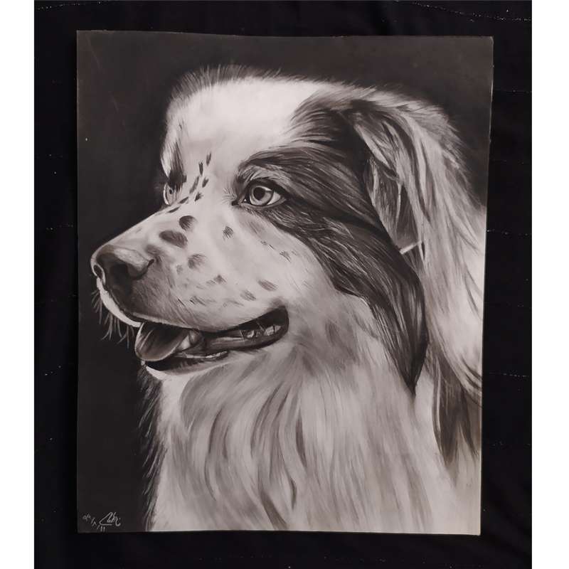 نقاشی سیاه قلم مدل سگ