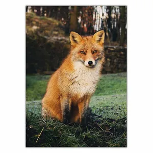 Wensoni Brown Fox Chassis Size 50 x 70 Cm