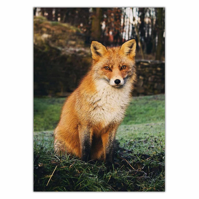 تابلو شاسی ونسونی طرح Brown Fox سایز 50 × 70 سانتی متر