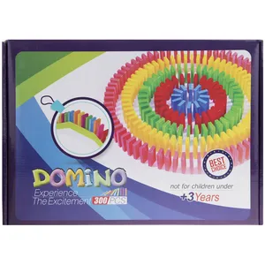 300PC Domino Itellectual Game