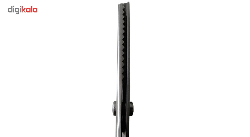 قیچی مدل professional طرح دالبردار کد 24115