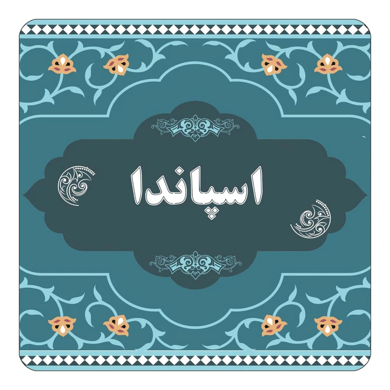 مگنت کاکتی مدل اسم اسپاندا کد mn68839