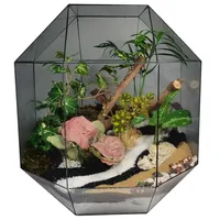 تراریوم مدل جعبه بهشتی