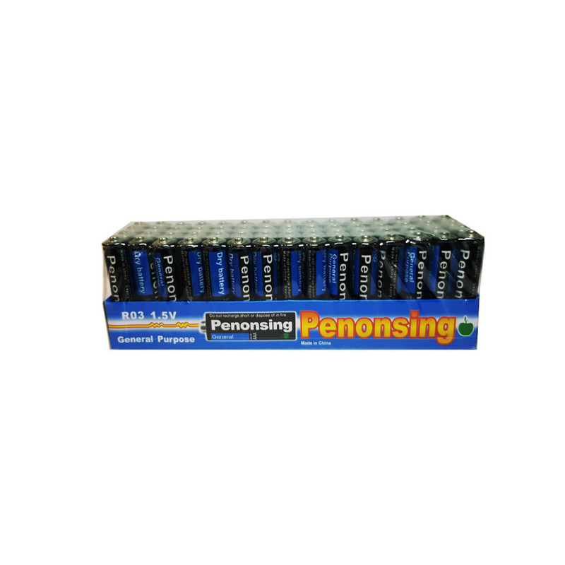 باتری قلمی و نیم قلمی پنونسینگ کد R6cR03 بسته 120 عددی