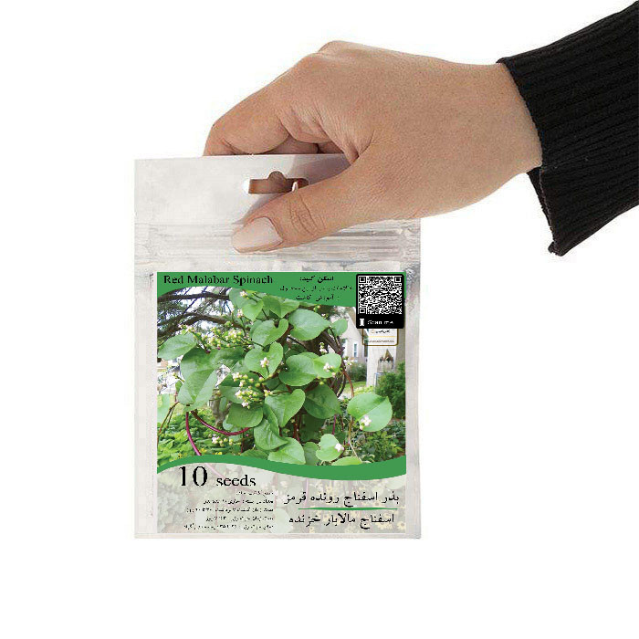 بذر اسفناج رونده قرمز مالابار مدل GL10 بذر اسفناج رونده قرمز مالابار مدل GL10