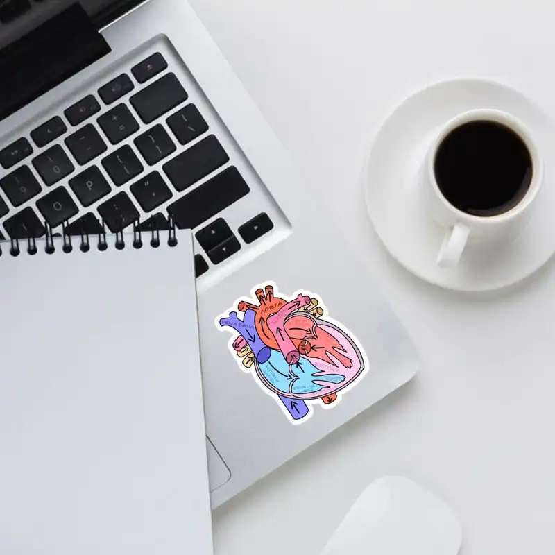 استیکر لپ تاپ طرح آناتومی بدن کد 118 مجموعه 4 عددی