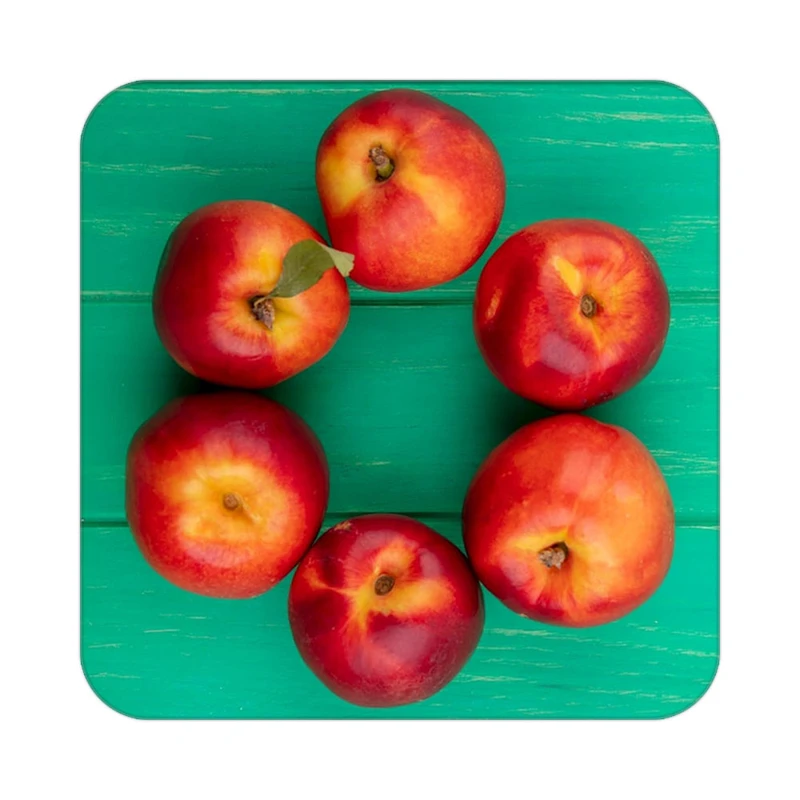 زیر لیوانی کاکتی طرح میوه مدل mp22474