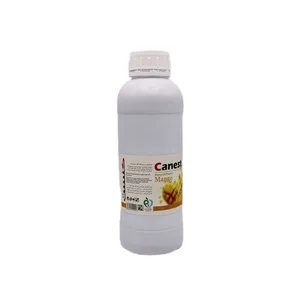 ژل طعم دهنده طبیعی انبه - 1500 گرم