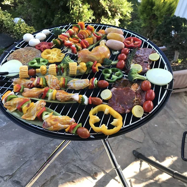 عکس شماره 13 : باربیکیو پارمیس مدل bbq 412