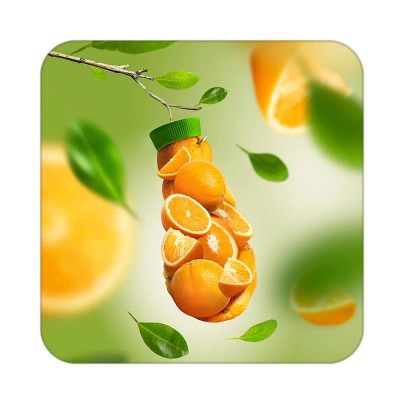 زیر لیوانی کاکتی طرح میوه مدل mp22118