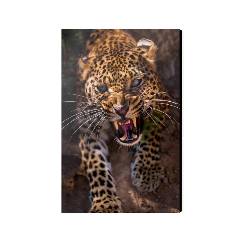 تابلو شاسی عرش مدل فانتزی پلنگ کد As2121