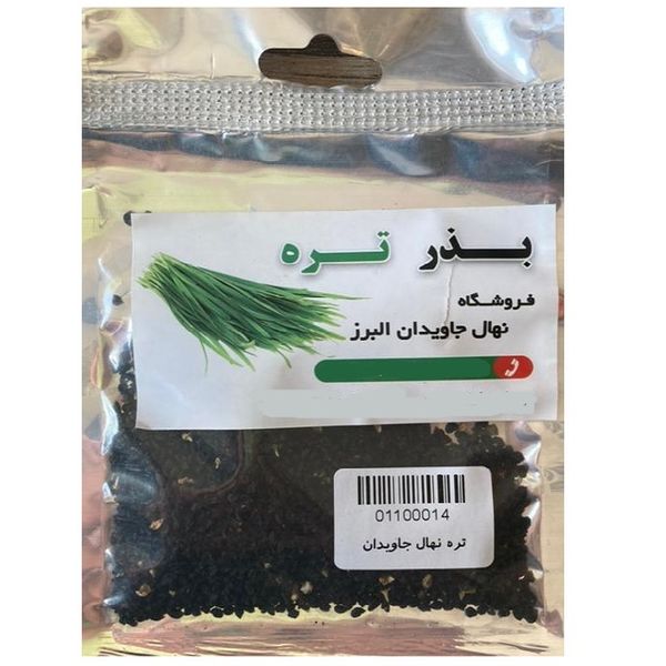 بذر تره نهال جاویدان البرز مدل 07 بذر تره نهال جاویدان البرز مدل 07
