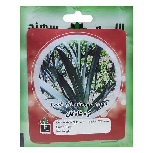 بذر تره شادگان لاله سهند کد LSP-051
