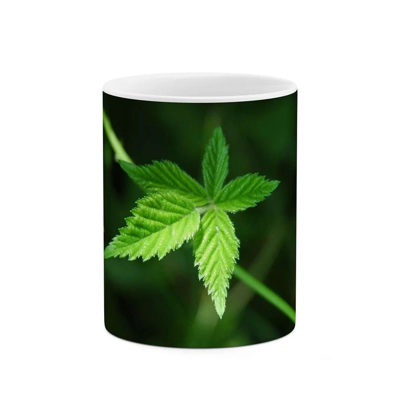 ماگ کاکتی مدل برگ کد mgh12208