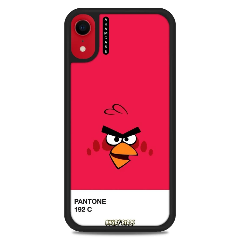 کاور آکام مدل AMC-WAXR-ANGRY BIRDS11 مناسب برای گوشی موبایل اپل iPhone XR