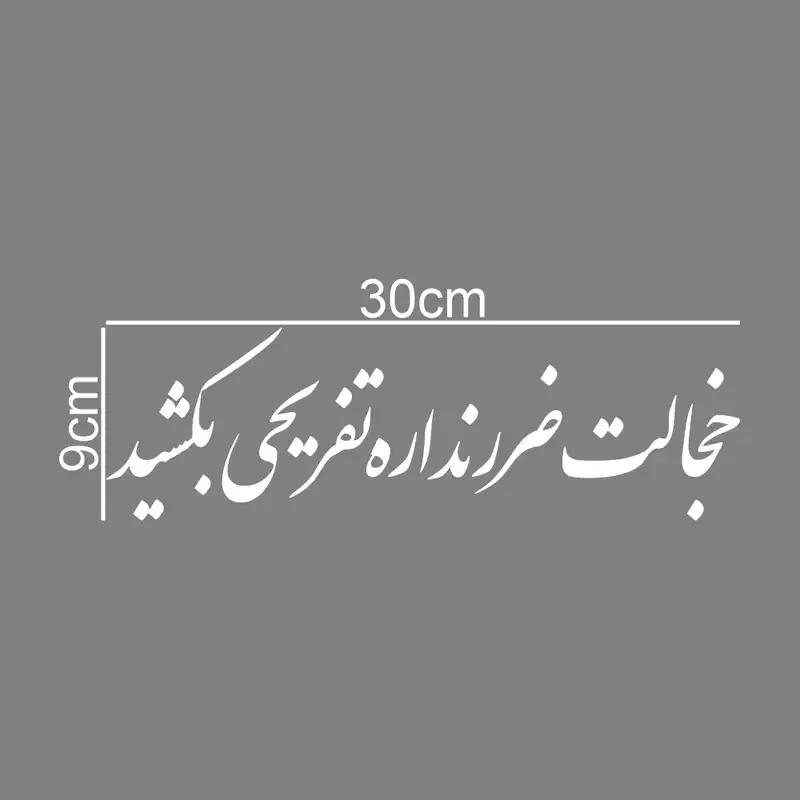 برچسب بدنه خودرو ماتریسیو طرح خجالت ضرر نداره تفریحی بکشید کد M-W338