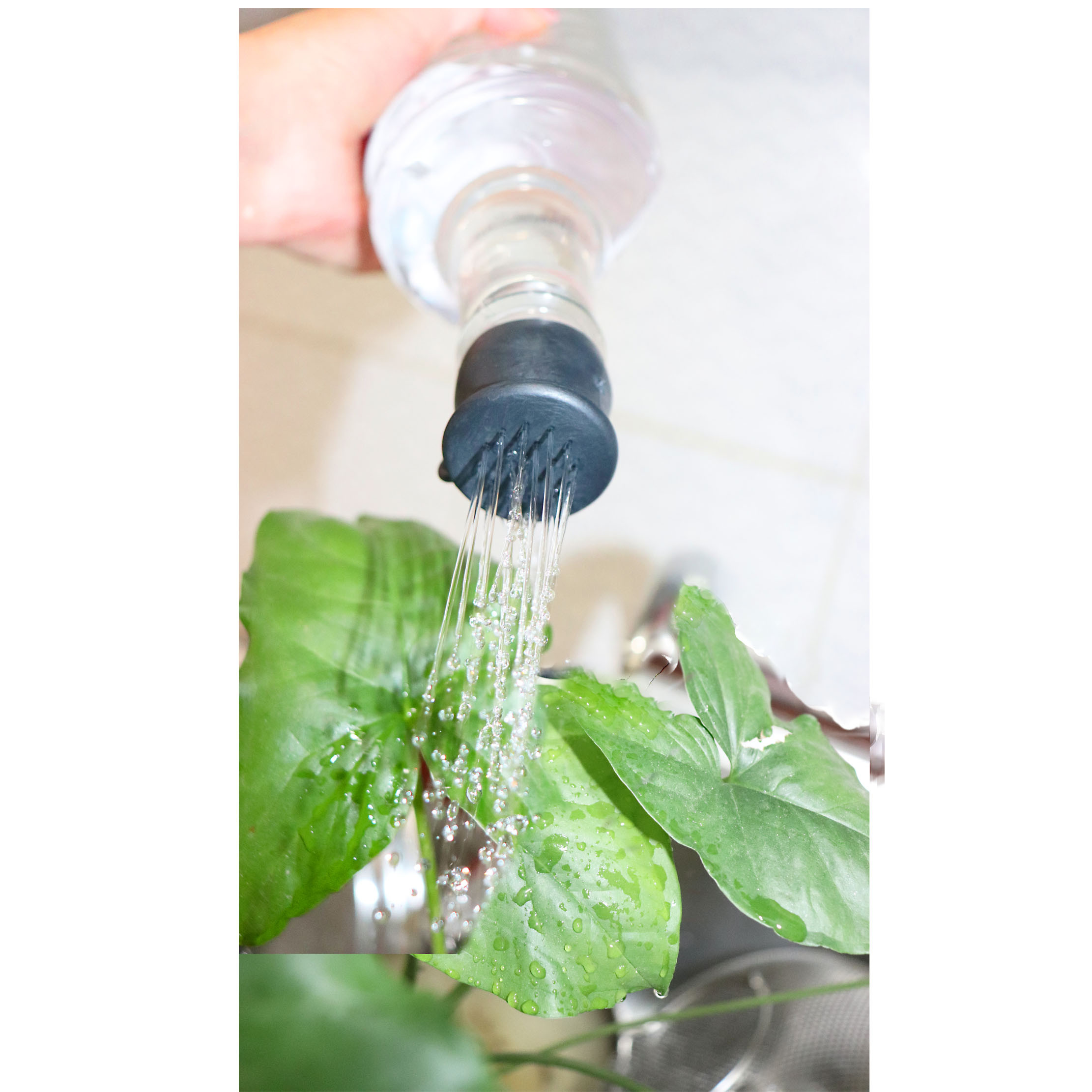 سرشیر کاهنده مصرف آب روان ریز مدل RR-WH4 مجموعه 2 عددی سرشیر کاهنده مصرف آب روان ریز مدل RR-WH4 مجموعه 2 عددی