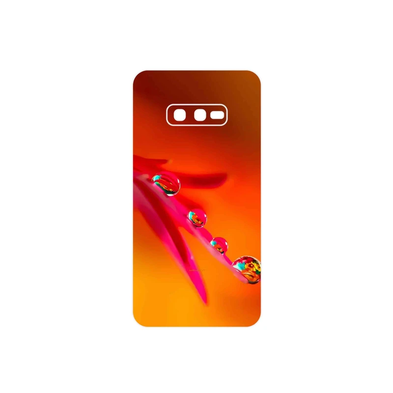 برچسب پوششی ماهوت مدل Plant dew مناسب برای گوشی موبایل سامسونگ Galaxy S10e