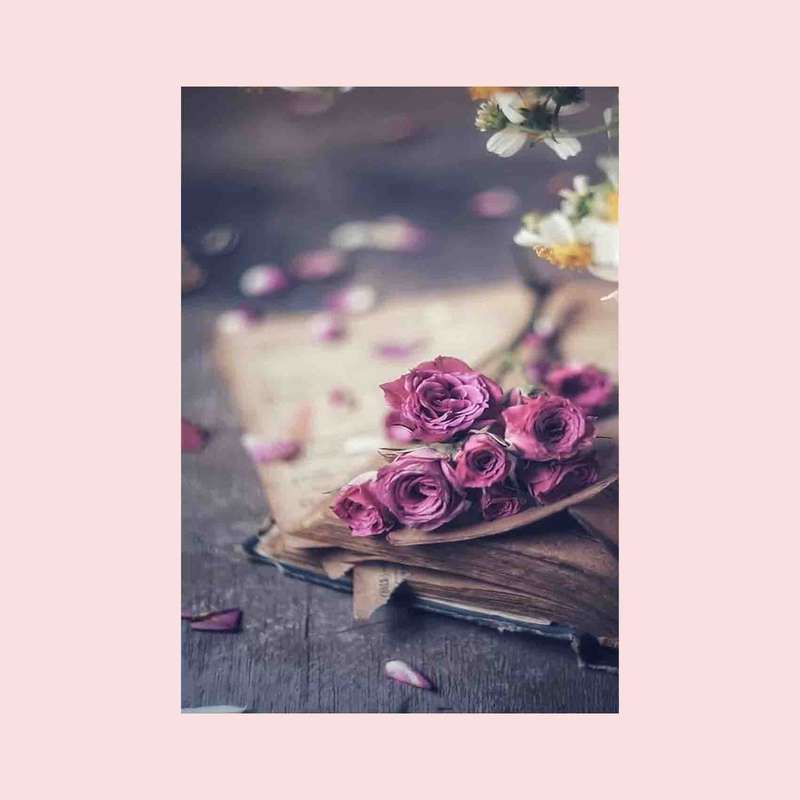 کارت پستال رادکس طرح گل مدل S779