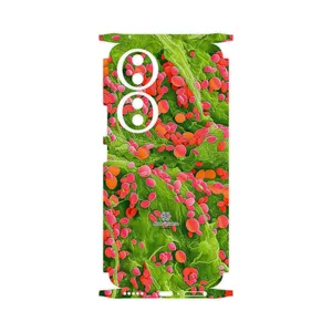 MAHOOT Atom Universe 3-FullSkin Cover Sticker for Honor 90