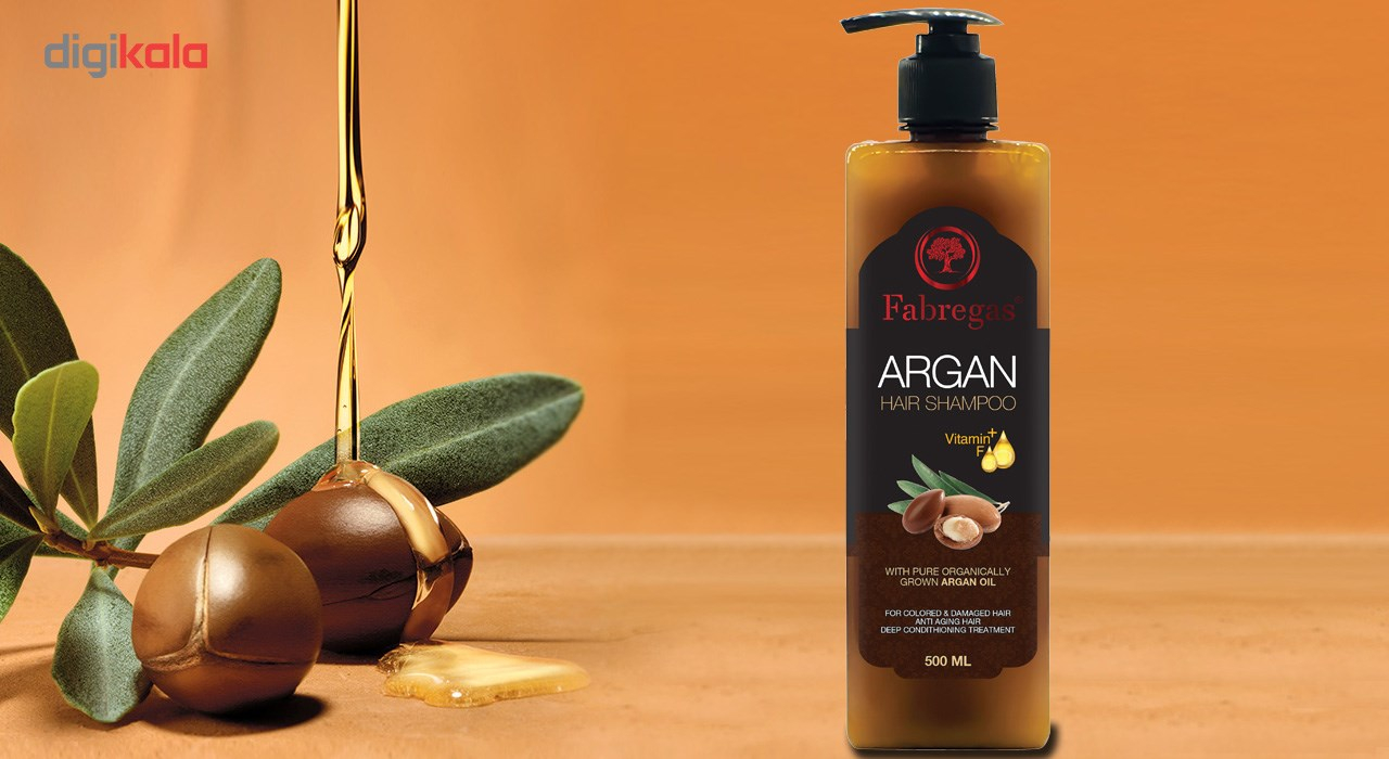 شامپو مو ویتامینه فابریگاس مدل Argan حجم 500 میلی لیتر