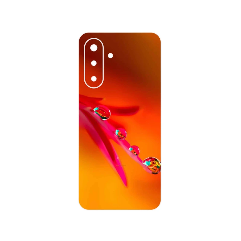 برچسب پوششی ماهوت مدل Plant dew مناسب برای گوشی موبایل سامسونگ Galaxy A17 4G