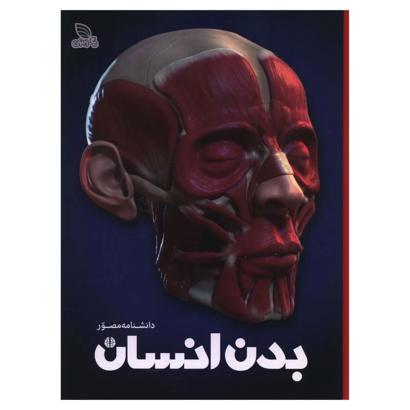 کتاب دانشنامه مصور بدن انسان اثر ريچارد واکر ترجمه داريوش دل آرا انتشارات برگ زیتون