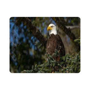 ماوس پد طرح عقاب مدل T8046